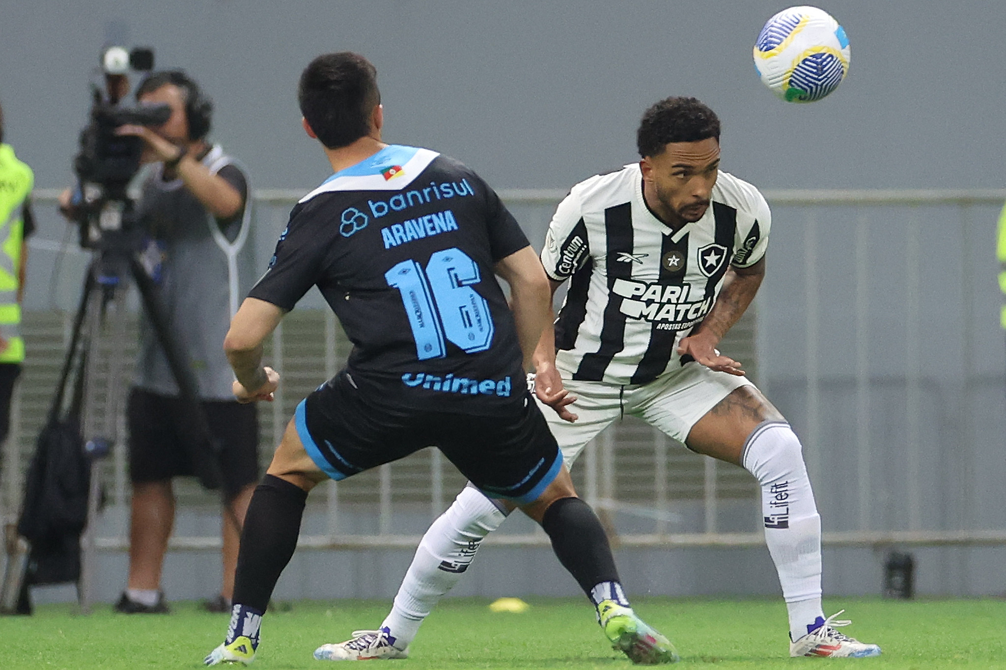 botafogo gremio vitinho