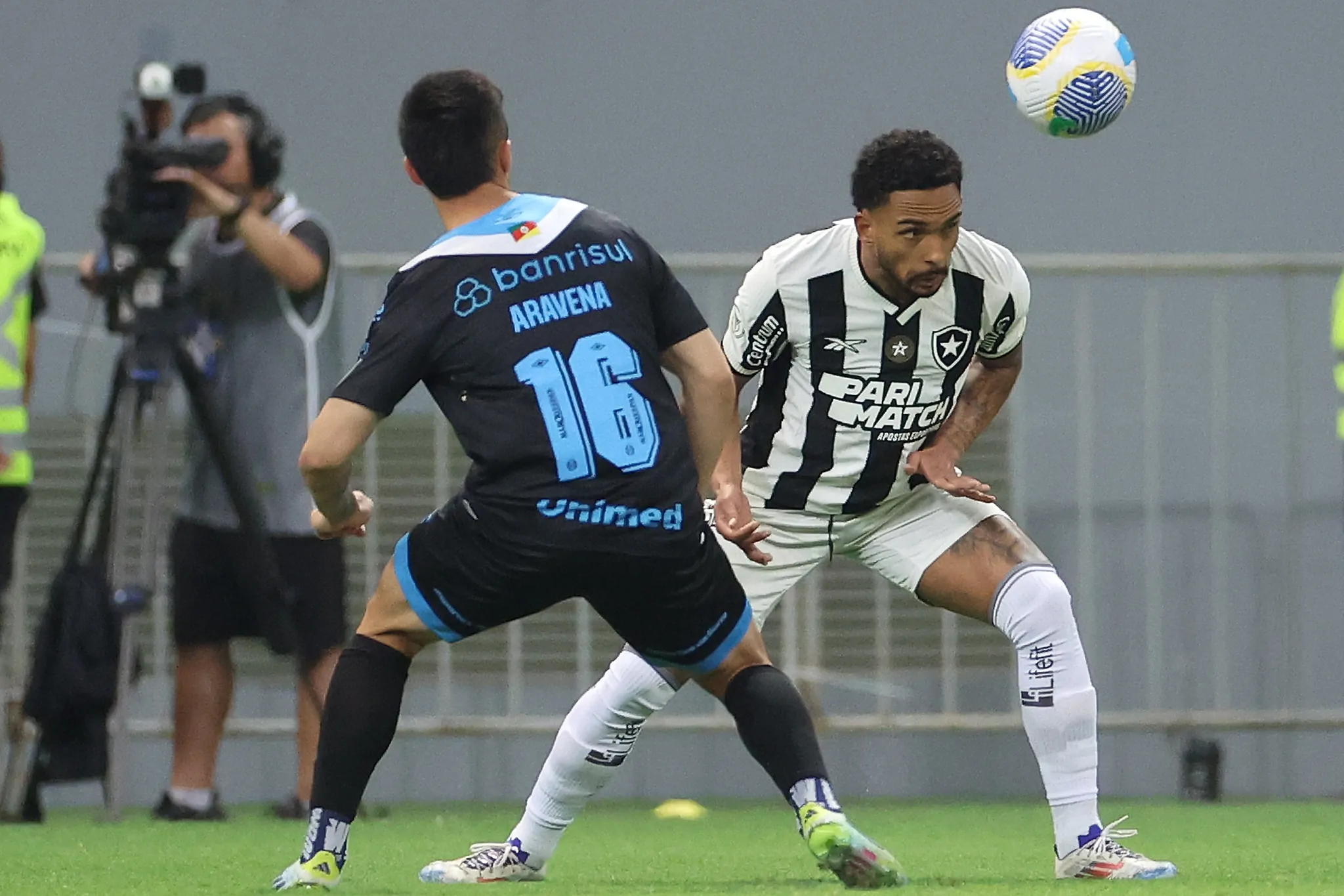 botafogo gremio vitinho