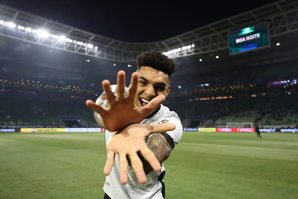 botafogo palmeiras igor jesus