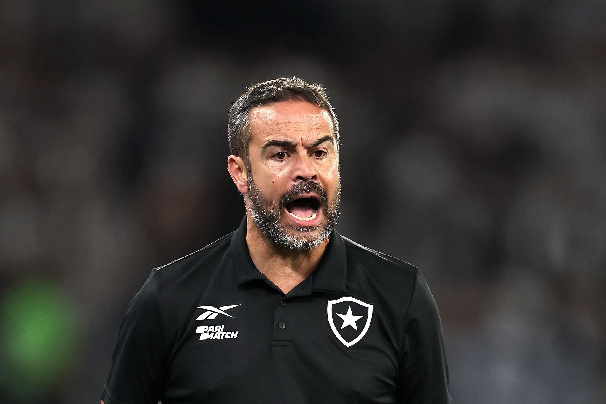 botafogo sao paulo artur jorge