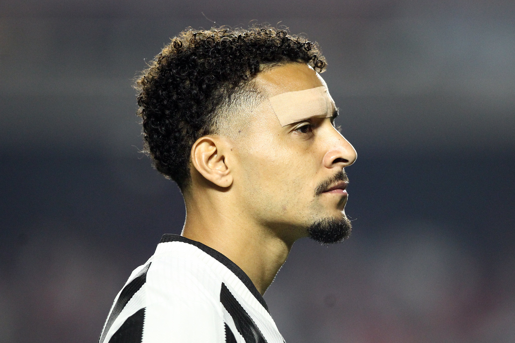 botafogo sao paulo gregore