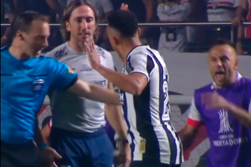 botafogo sao paulo marcal