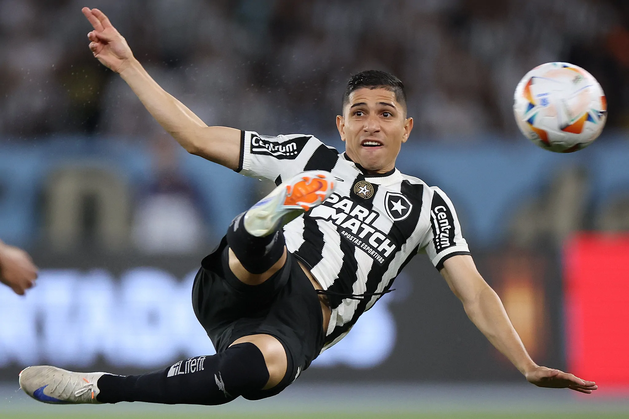 botafogo sao paulo savarino