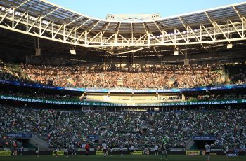 palmeiras botafogo allianz parque