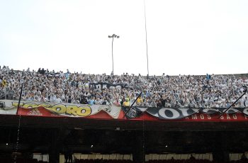 sao paulo botafogo estadio morumbi