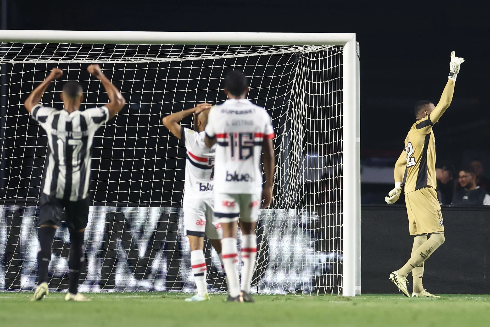 sao paulo botafogo john