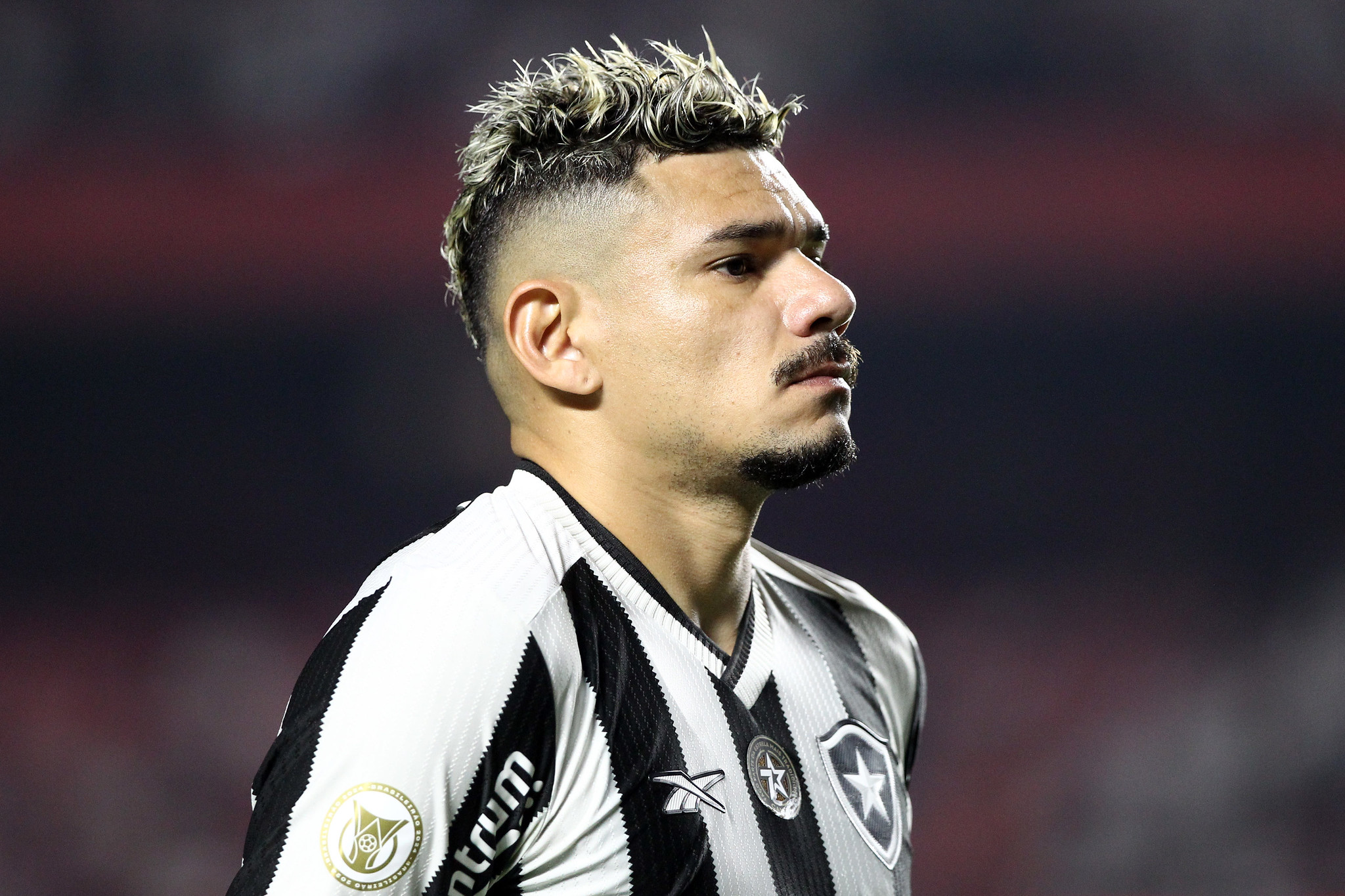 sao paulo botafogo tiquinho soares 2