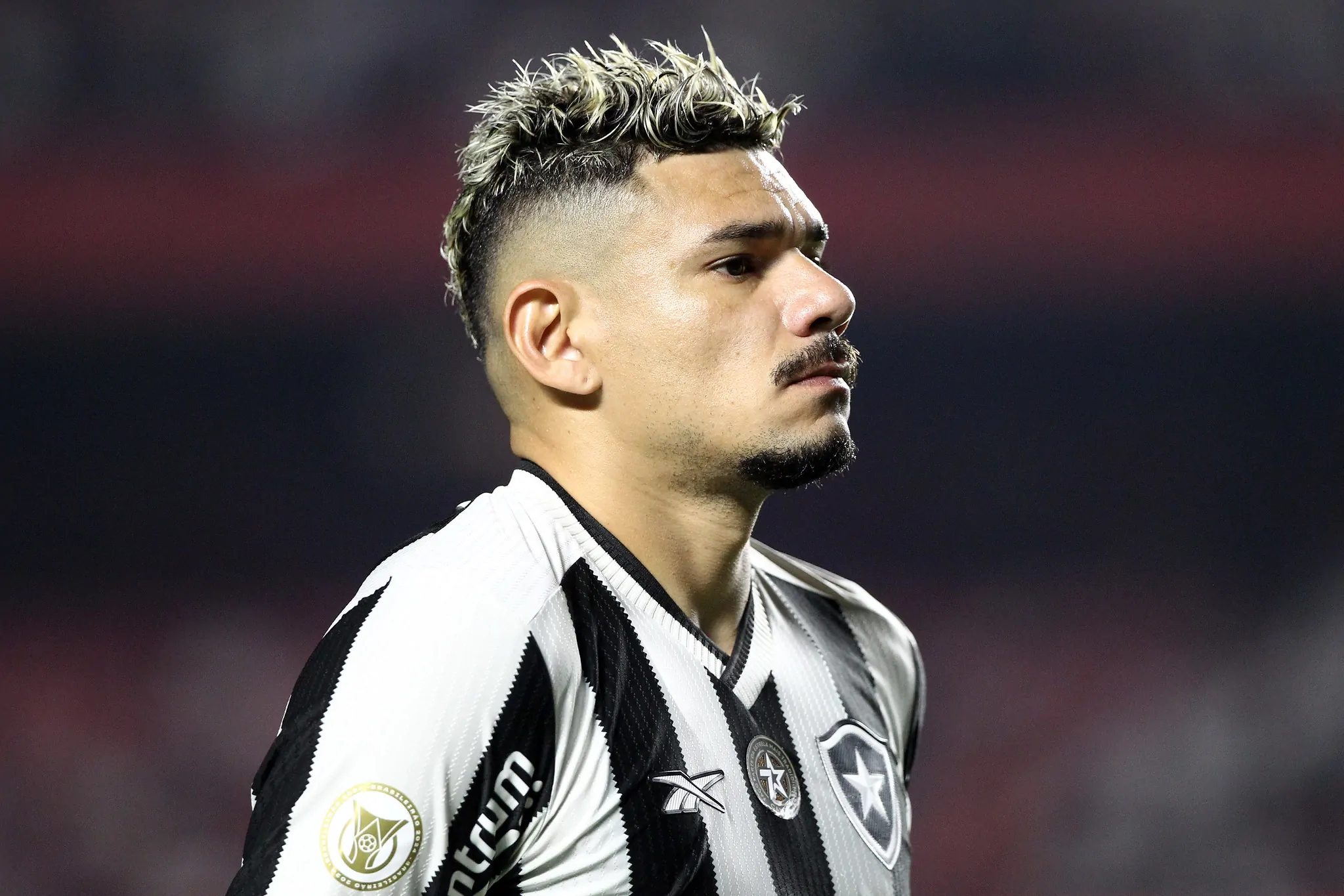 sao paulo botafogo tiquinho soares 2