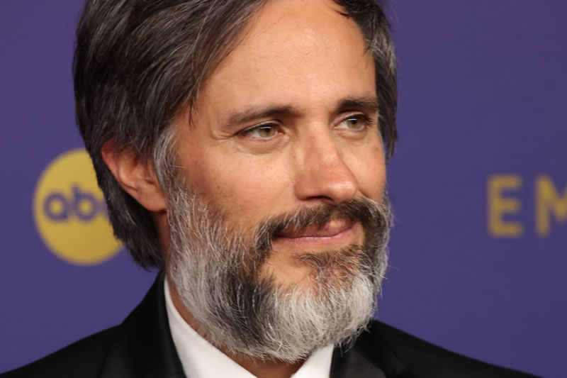 gael garcia bernal botafogo