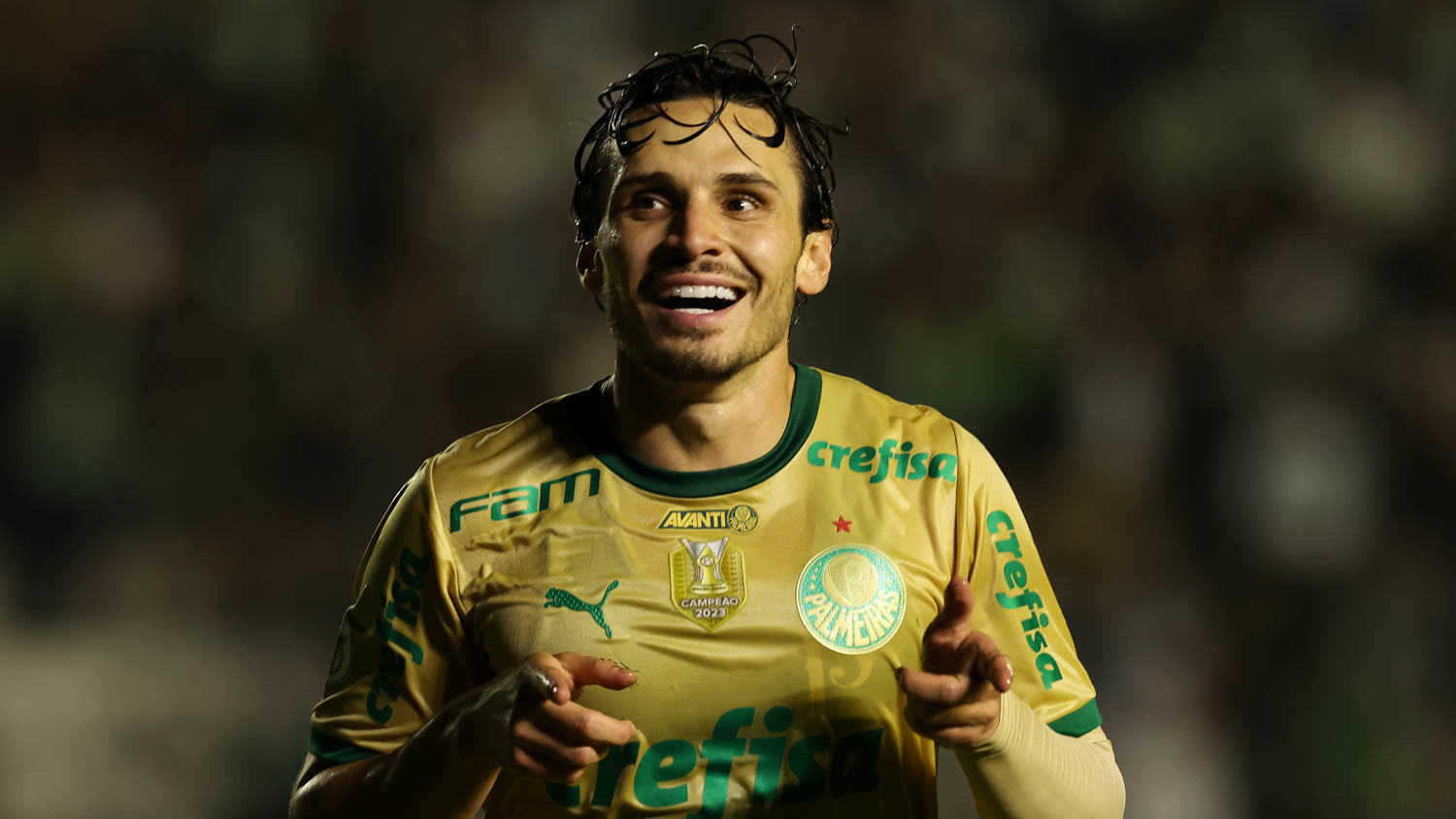 raphael veiga botafogo palmeiras