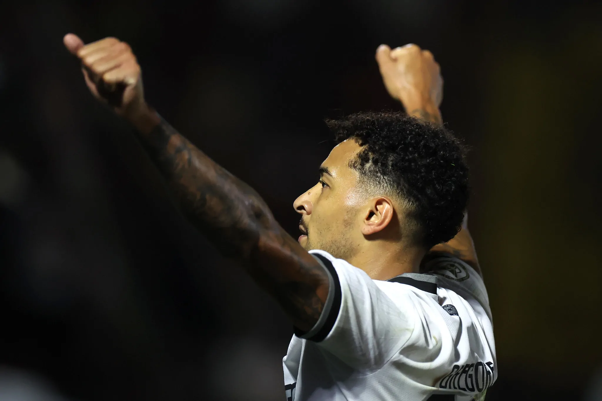 red bull bragantino botafogo gregore