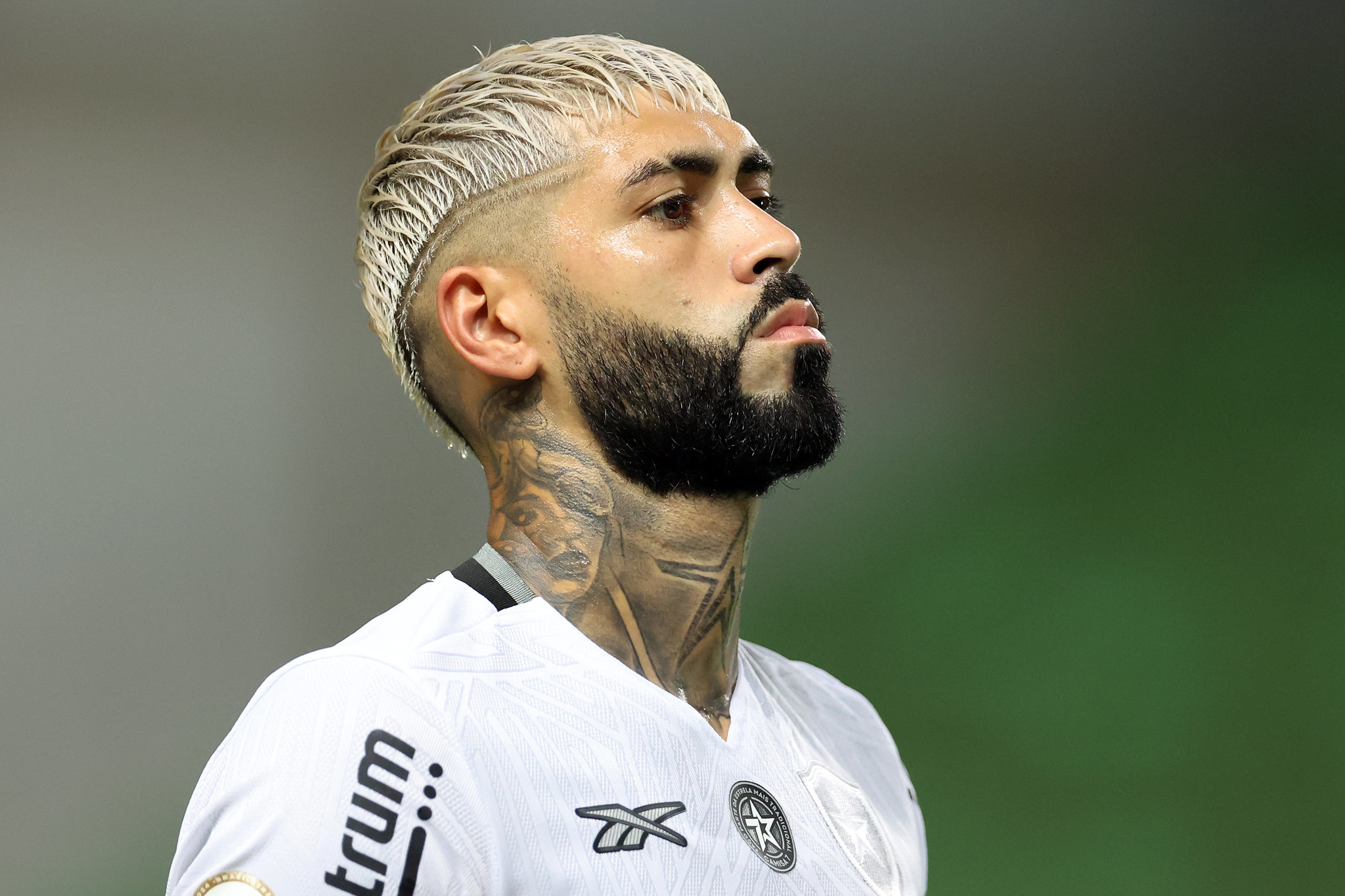 botafogo atletico-mg alexander barboza