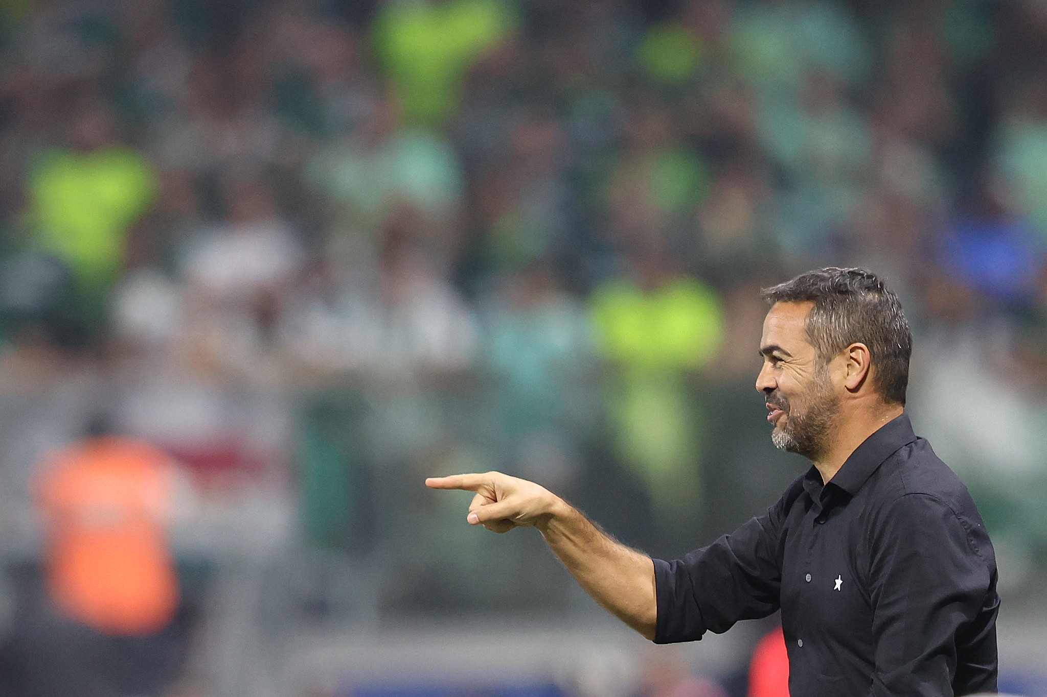 botafogo palmeiras artur jorge