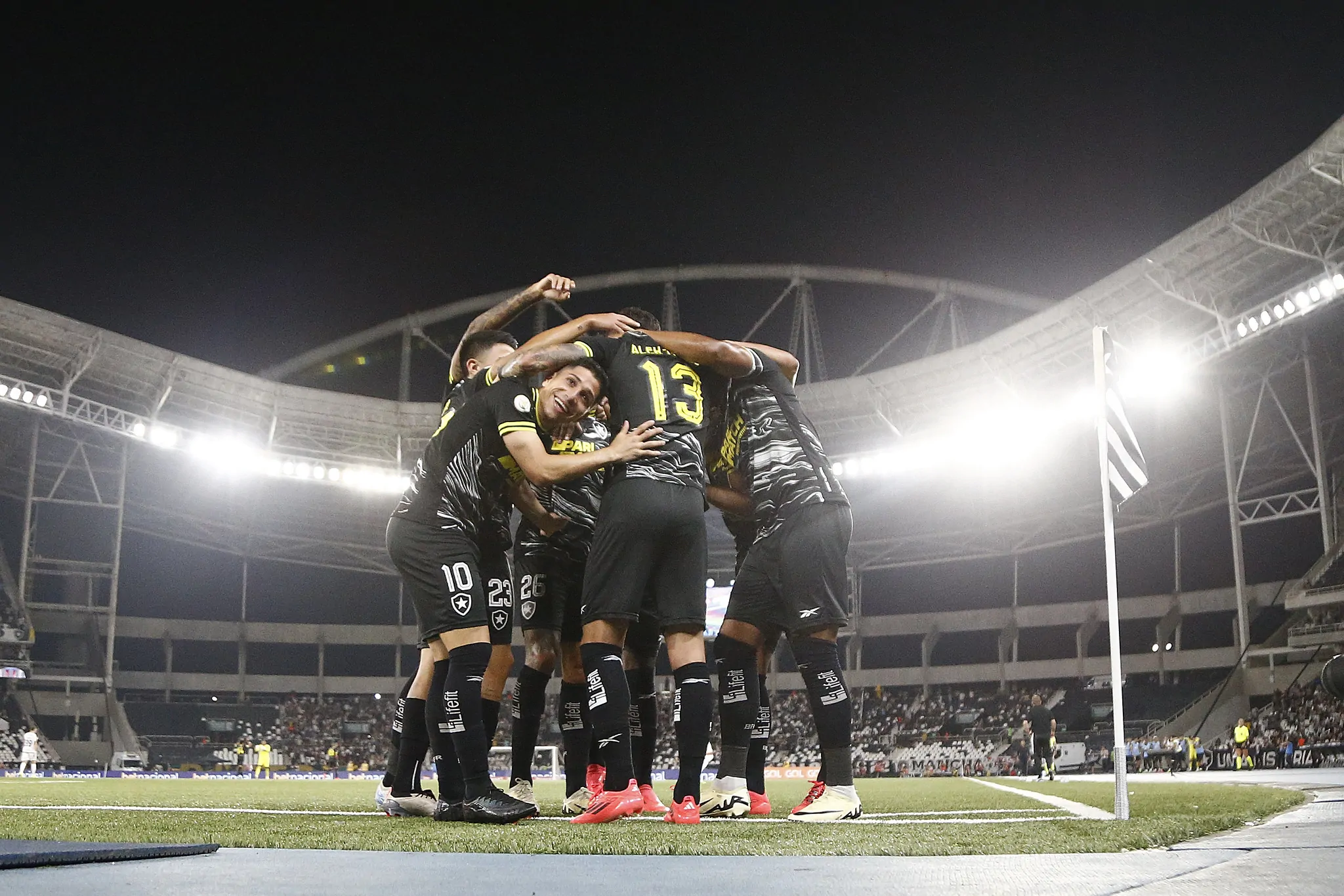 botafogo vasco comemoracao