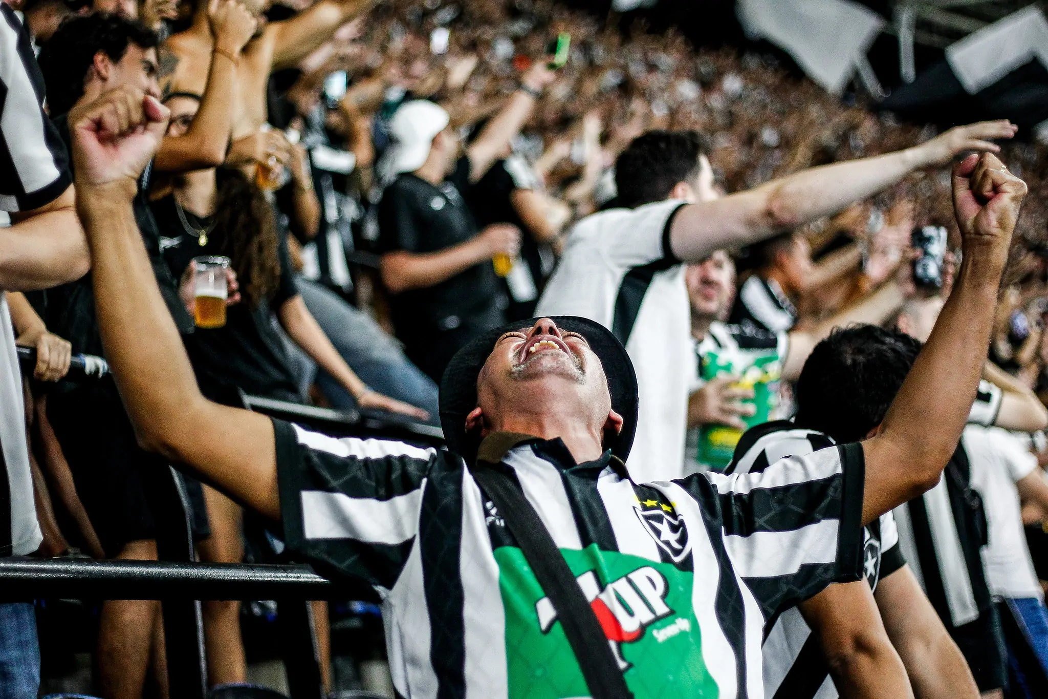 botafogo vasco torcida