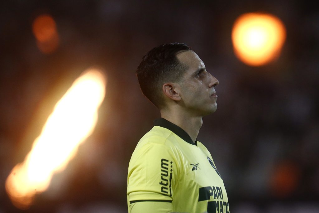 gatito botafogo juventude