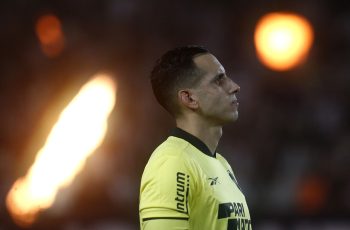 gatito botafogo juventude