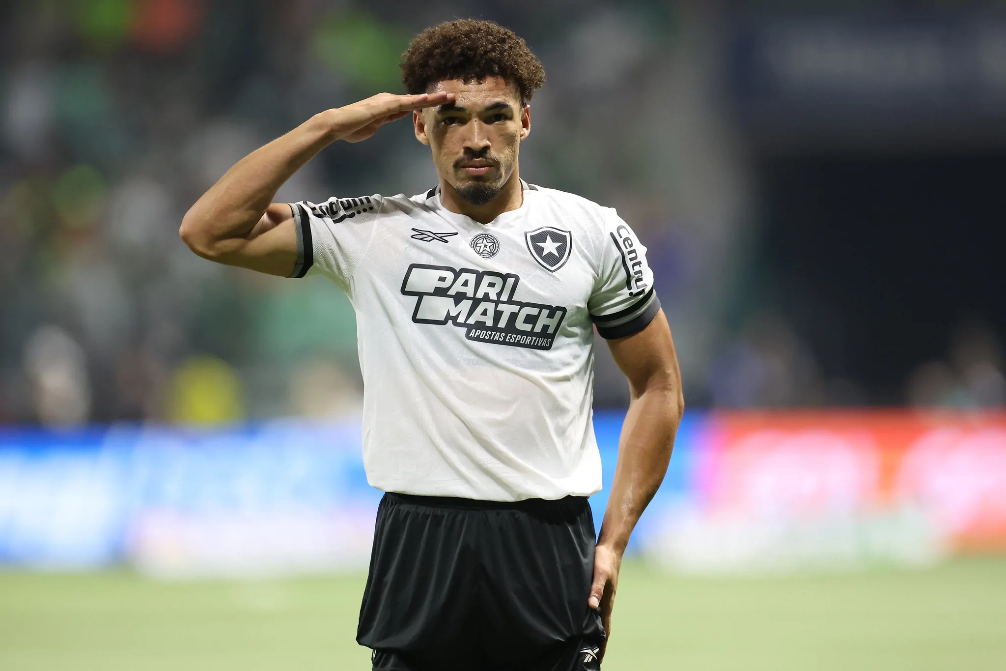 palmeiras botafogo adryelson close