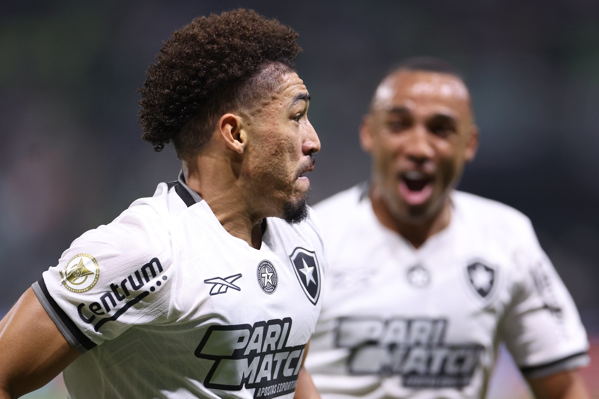 palmeiras botafogo adryelson marcal