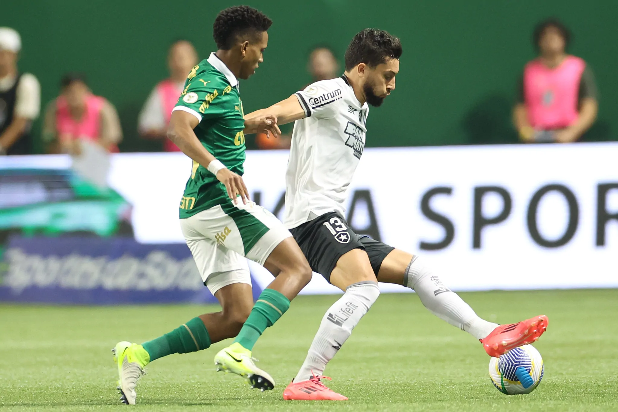 palmeiras botafogo alex telles (2)