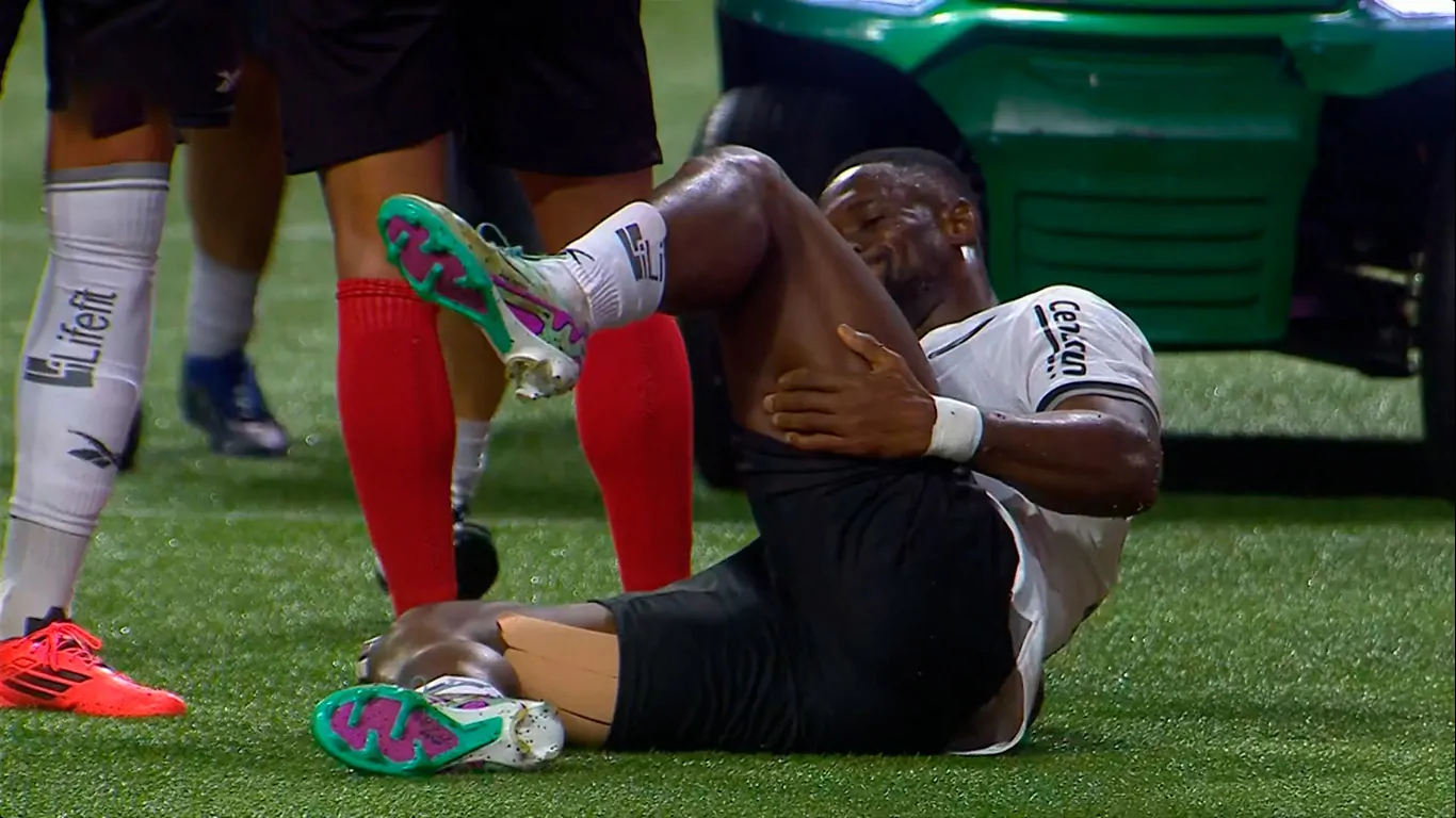 palmeiras botafogo bastos