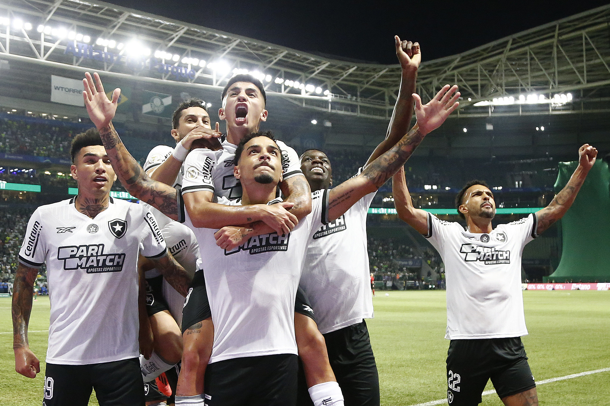 palmeiras botafogo comemoracao