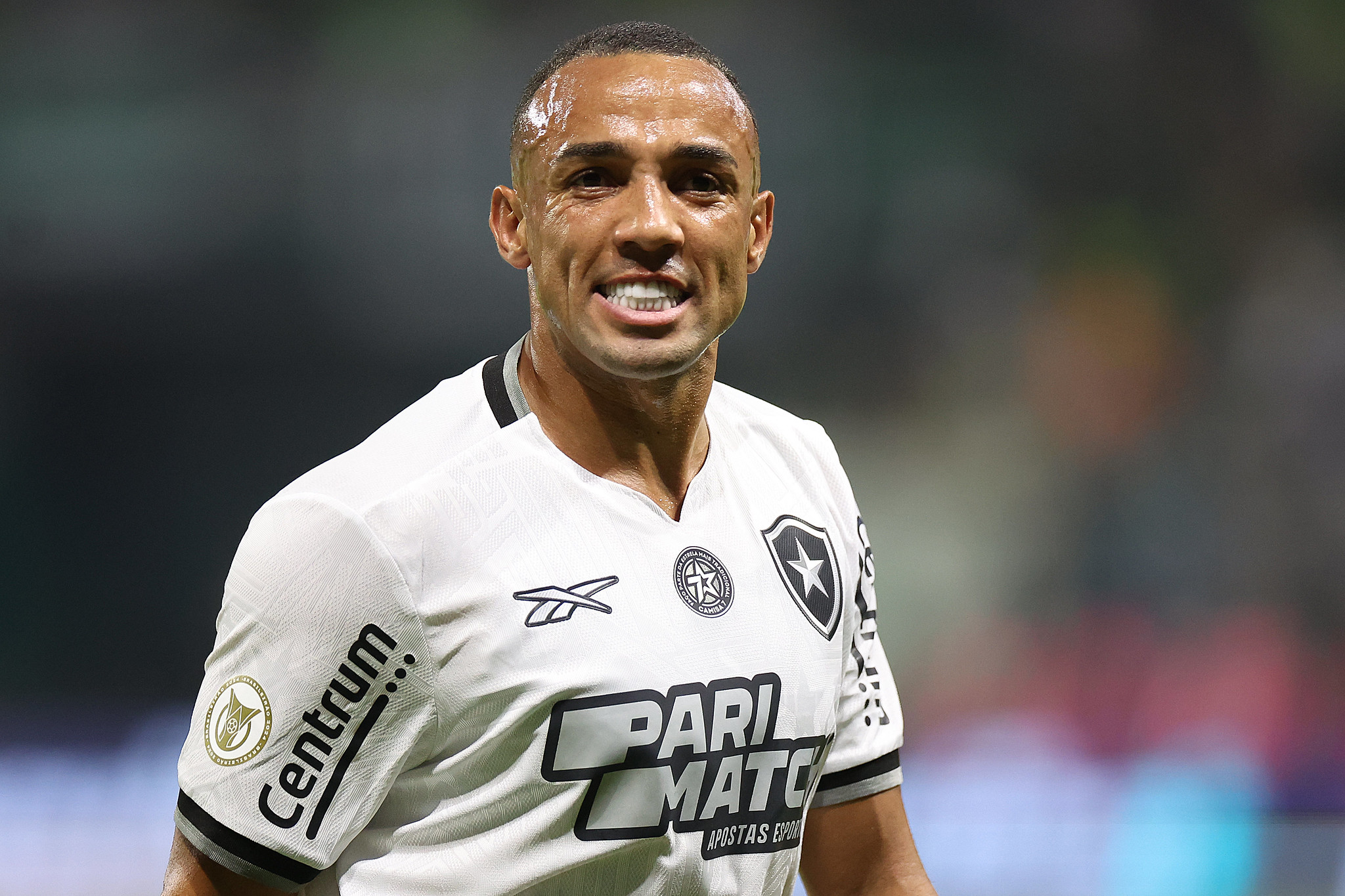 palmeiras botafogo marcal