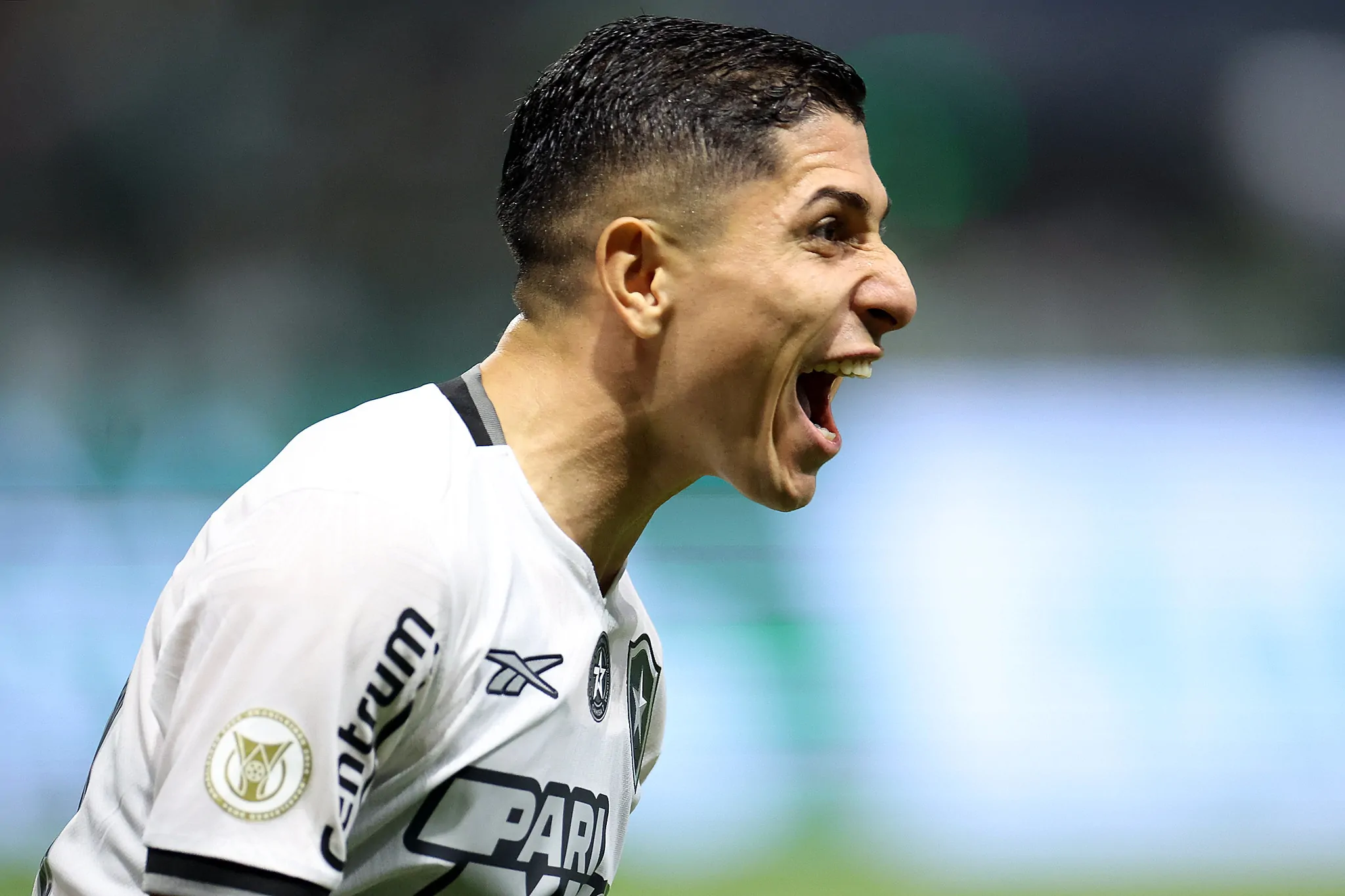 palmeiras botafogo savarino close