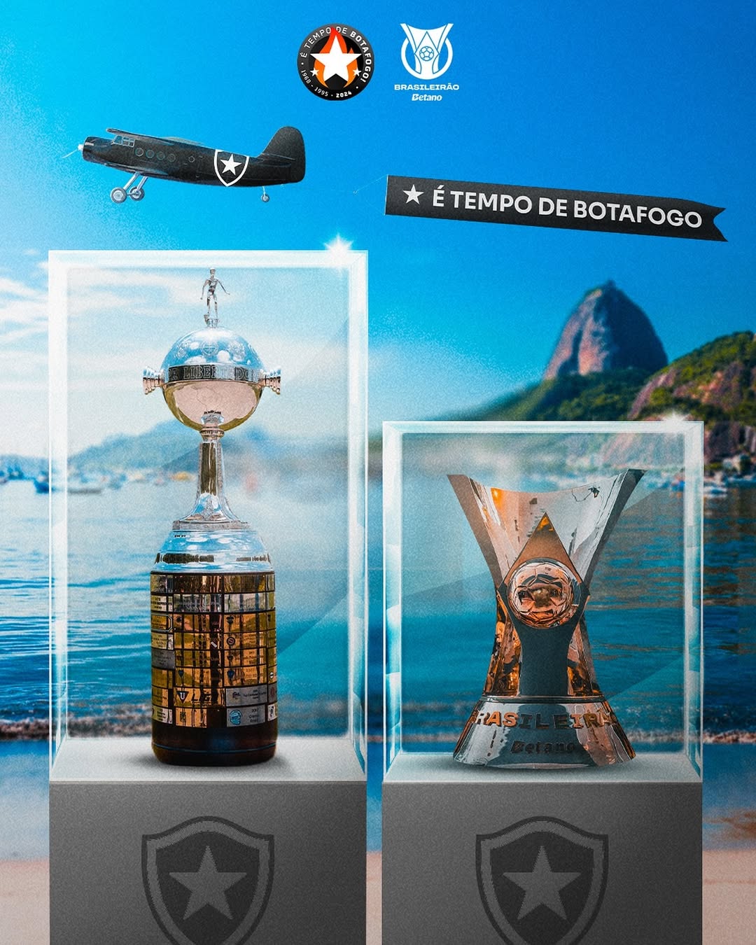 botafogo campeao brasileiro perfil instagram