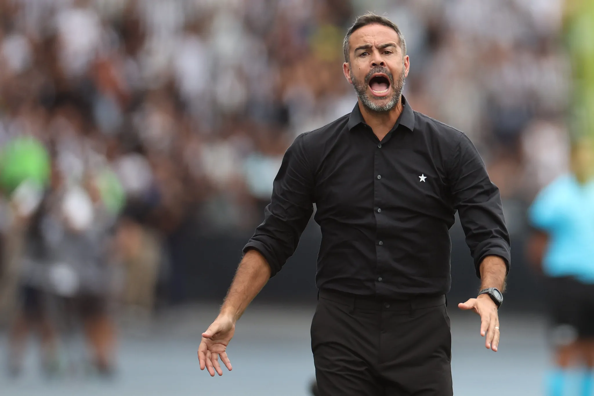 botafogo sao paulo artur jorge