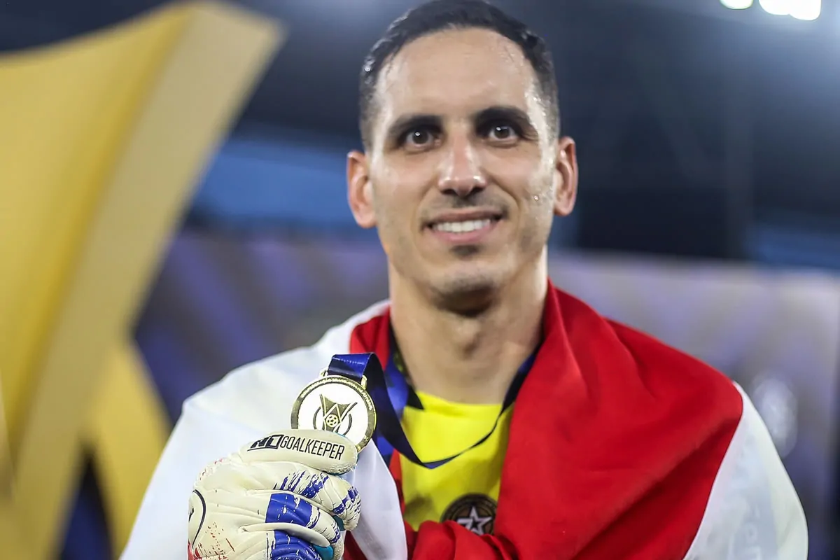 gatito botafogo campeao brasileiro