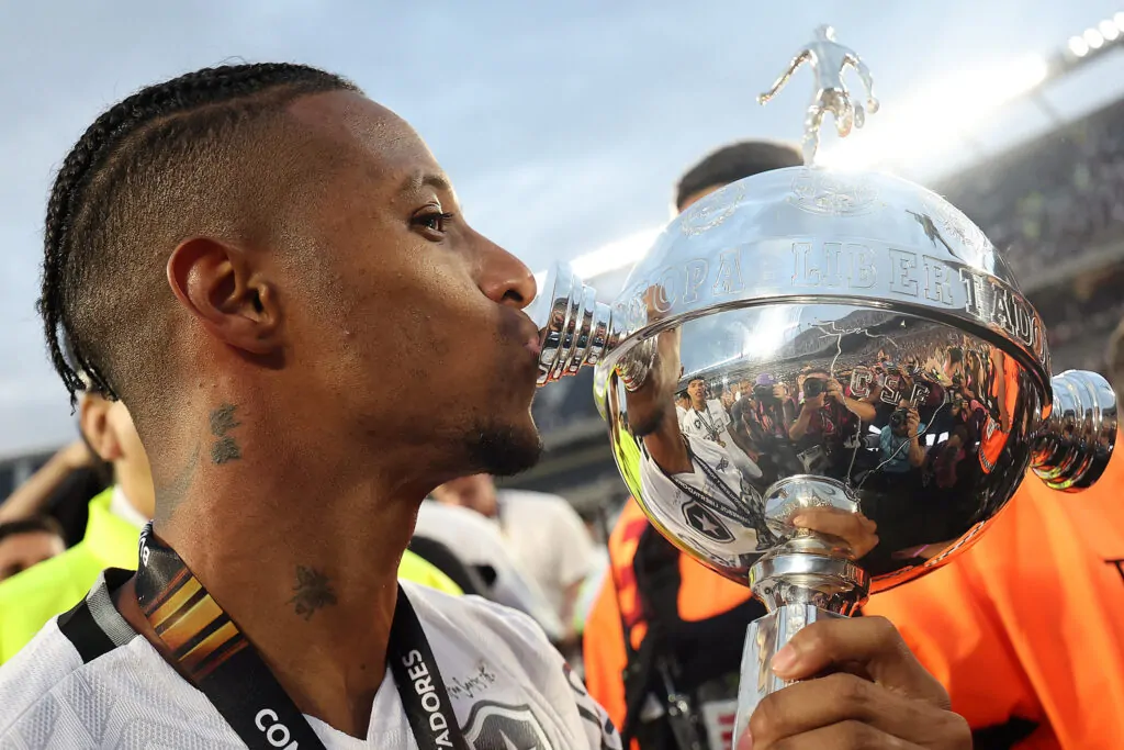 tche tche botafogo campeao libertadores