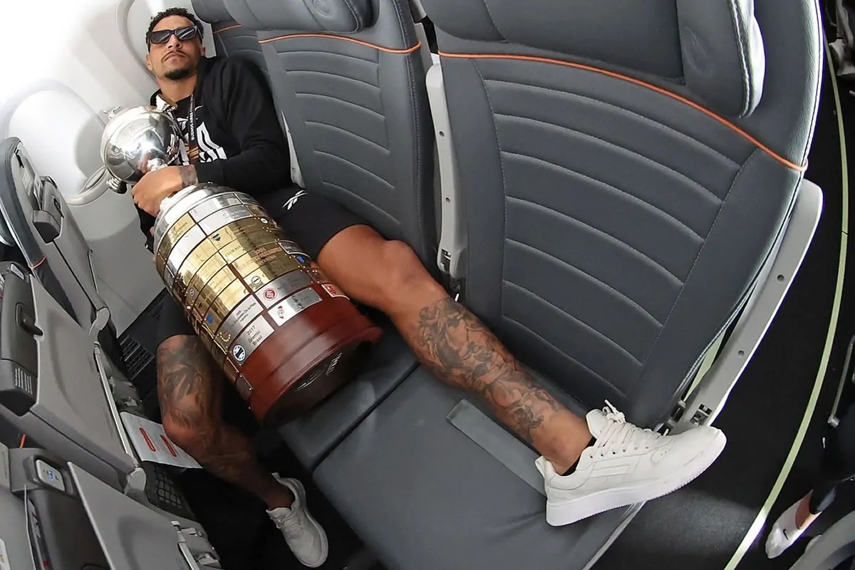 botafogo campeao libertadores gregore