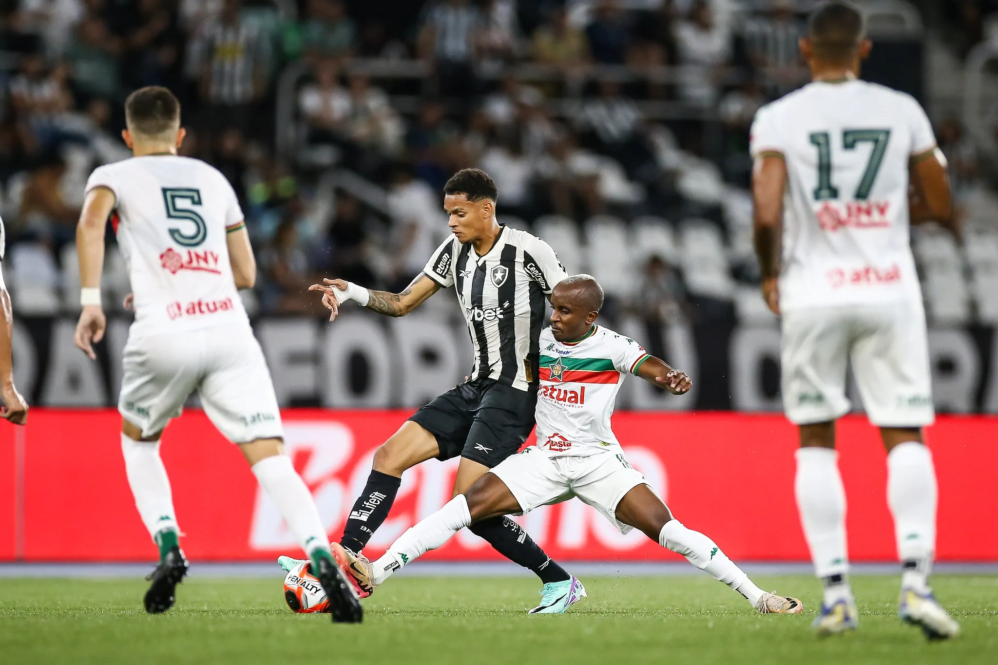 botafogo portuguesa newton