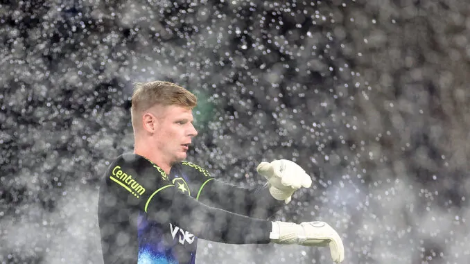 botafogo volta redonda raul