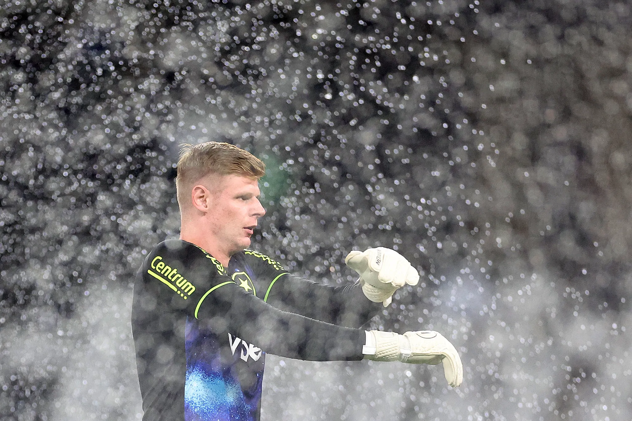 botafogo volta redonda raul