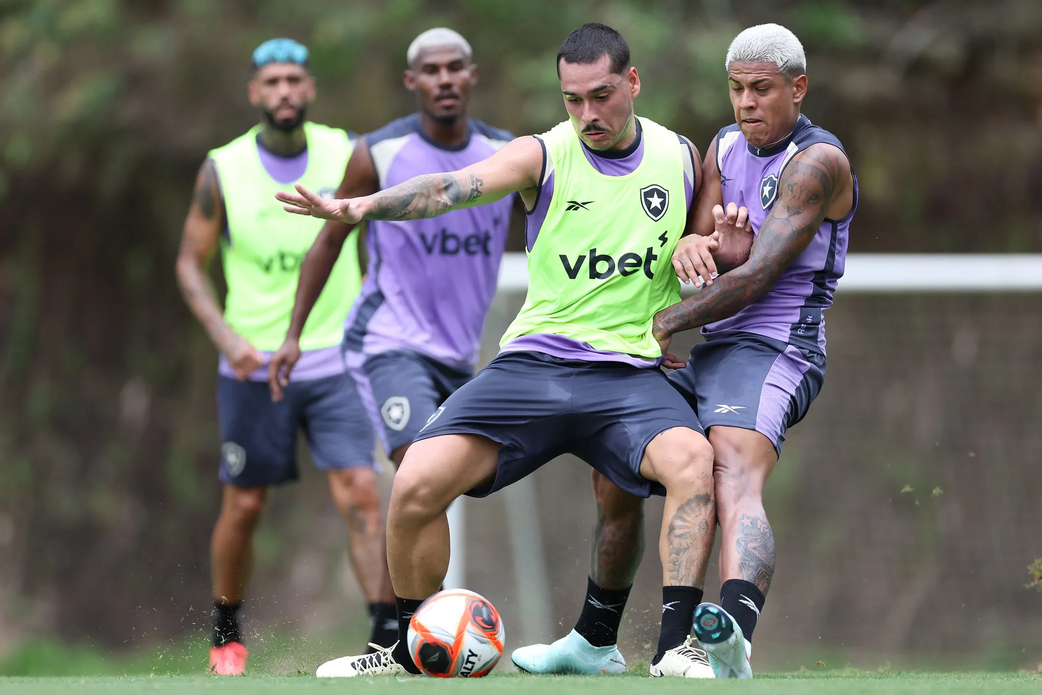 lucas halter botafogo