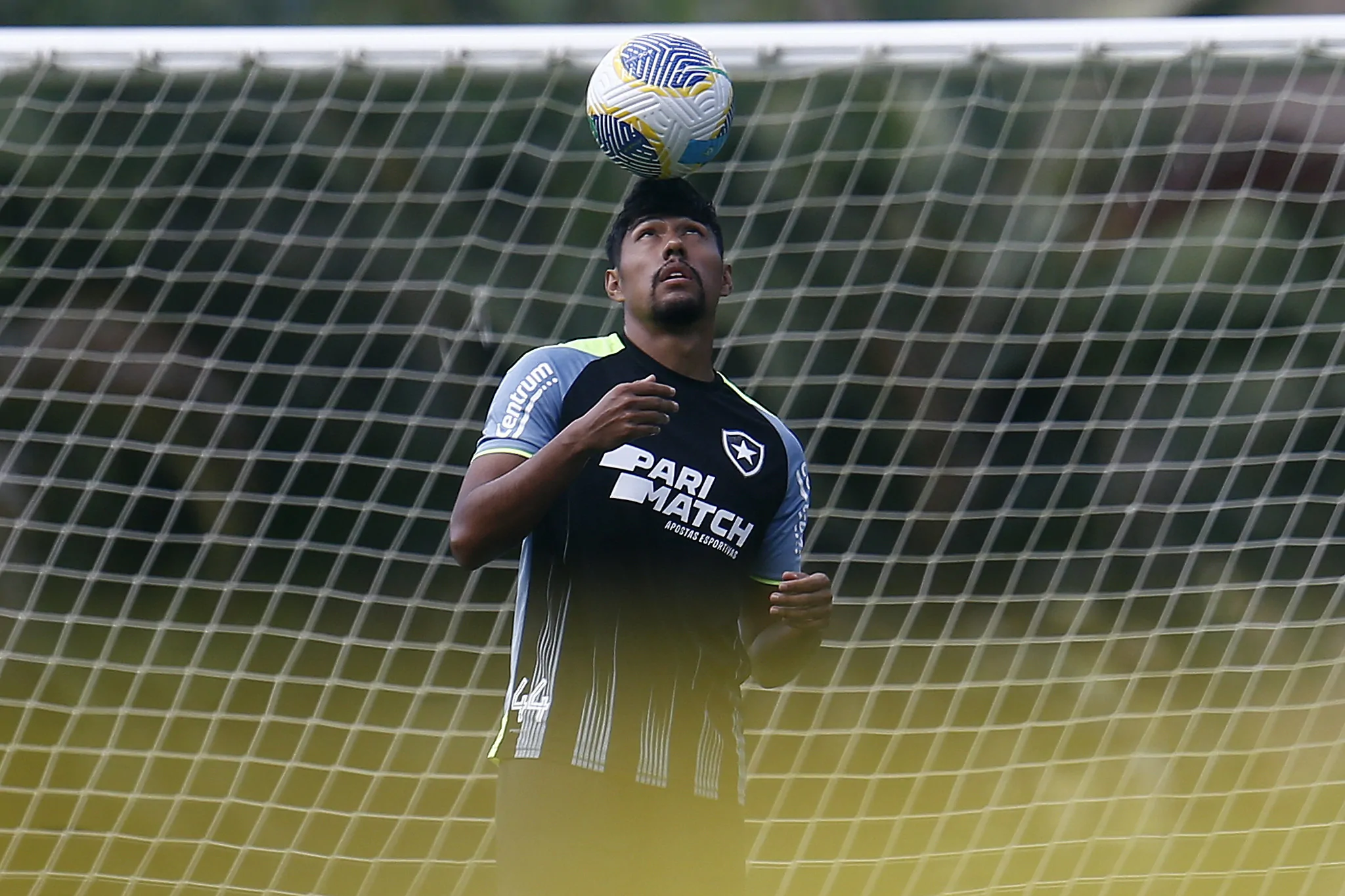 luis segovia botafogo