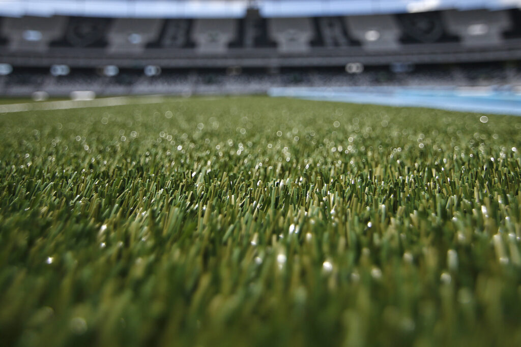 botafogo gramado nilton santos