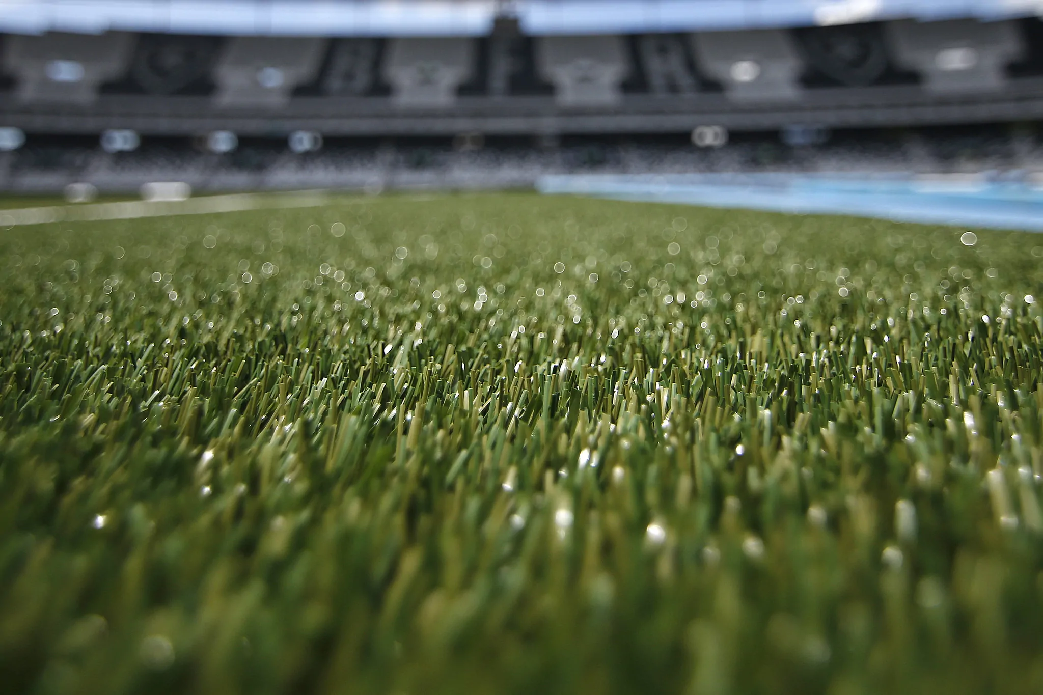 botafogo gramado nilton santos