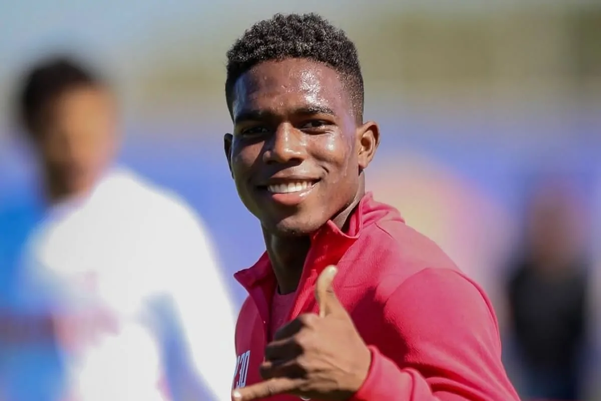 botafogo henry mosquera red bull bragantino