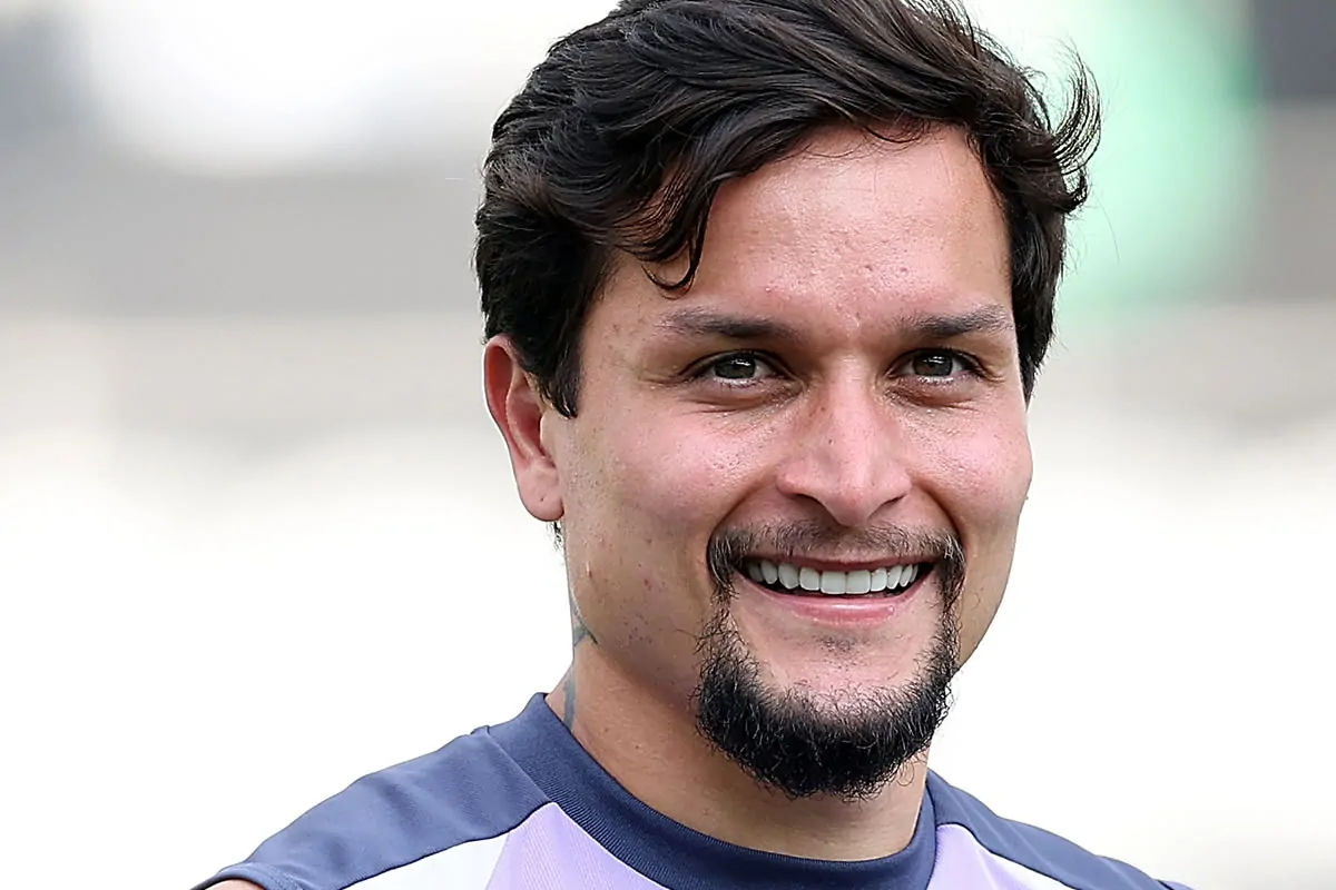 botafogo treino artur