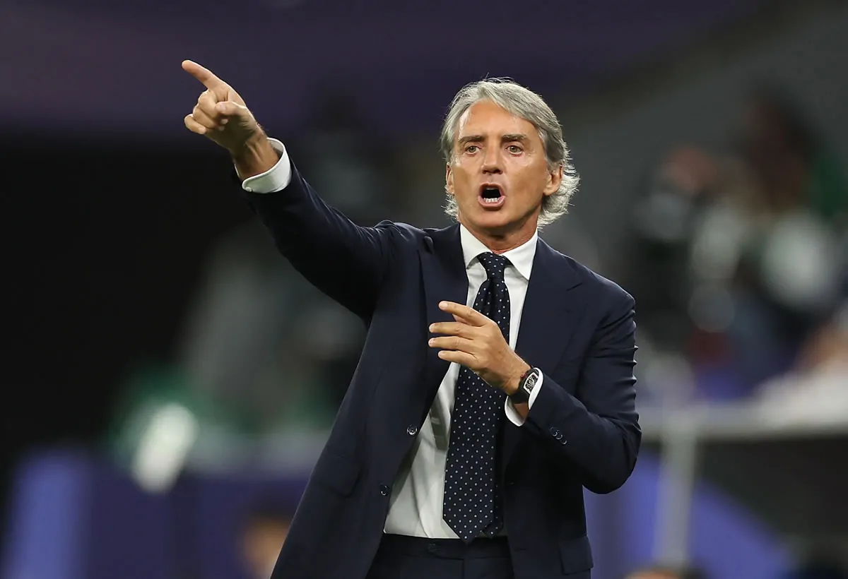 roberto mancini botafogo