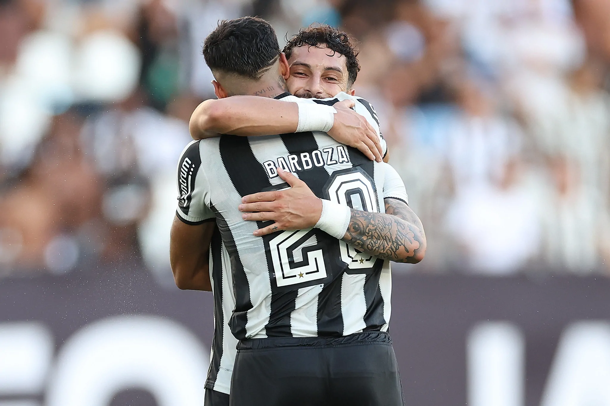 botafogo novorizontino alexander barboza alex telles