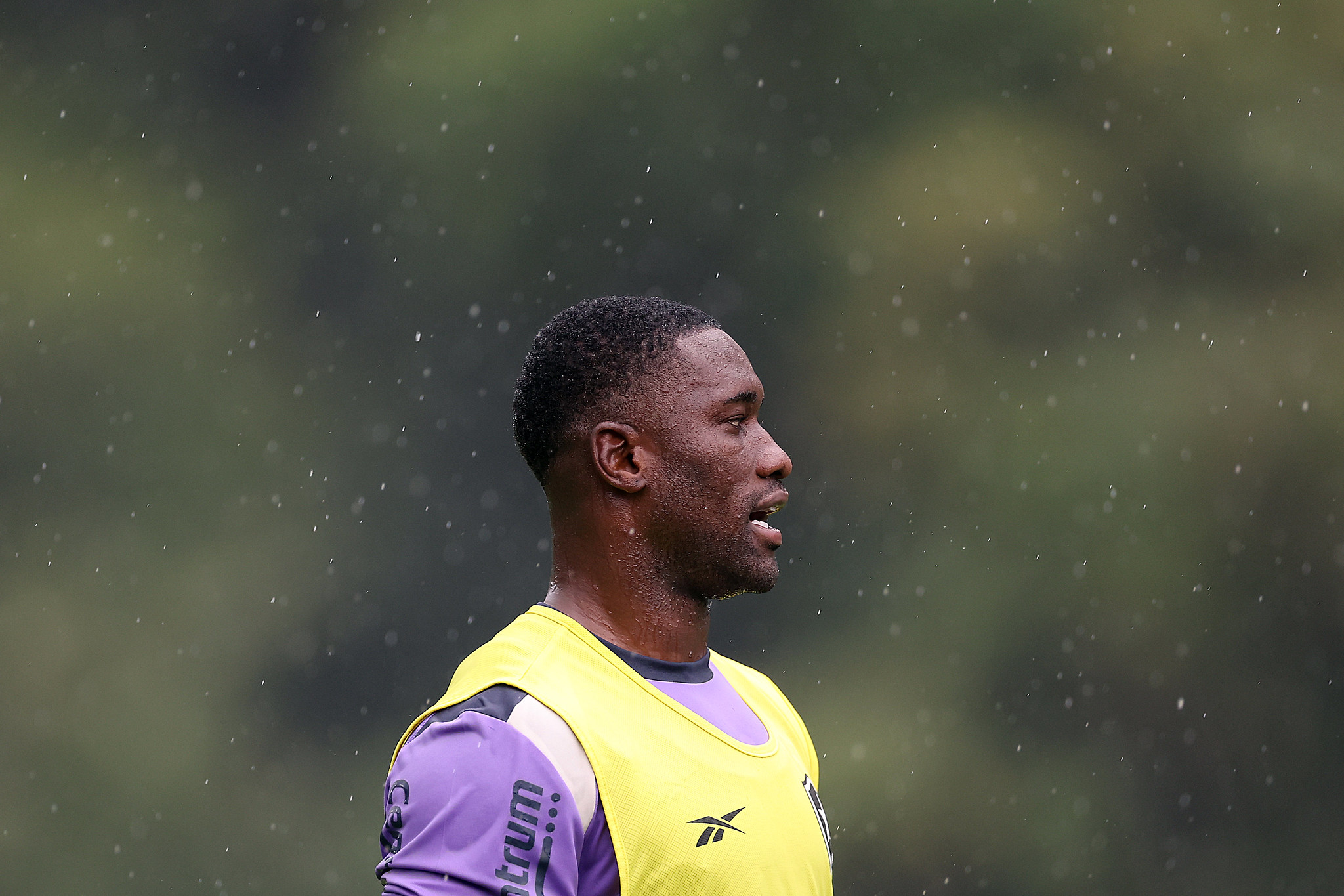 botafogo treino bastos