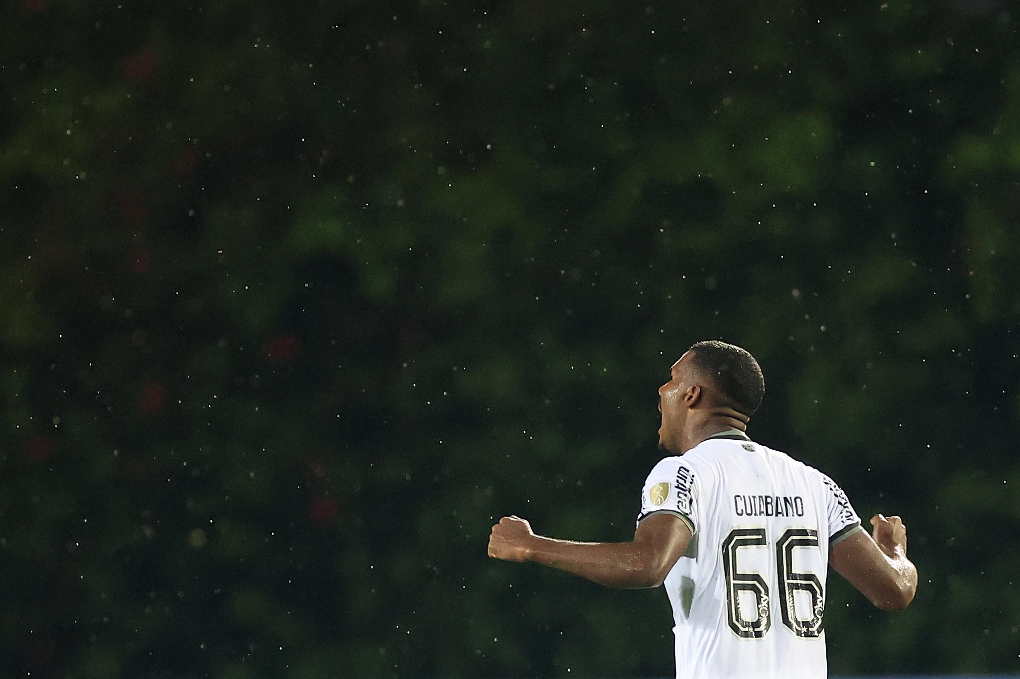 Loffredo elogia escalação de Renato Paiva, do Botafogo, contra o Carabobo: 'Cuiabano numa linha ofensiva acabou dando certo'