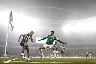 botafogo palmeiras mateo ponte