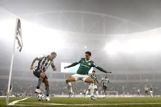 botafogo palmeiras mateo ponte