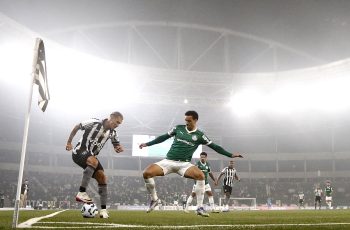 botafogo palmeiras mateo ponte