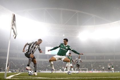 botafogo palmeiras mateo ponte